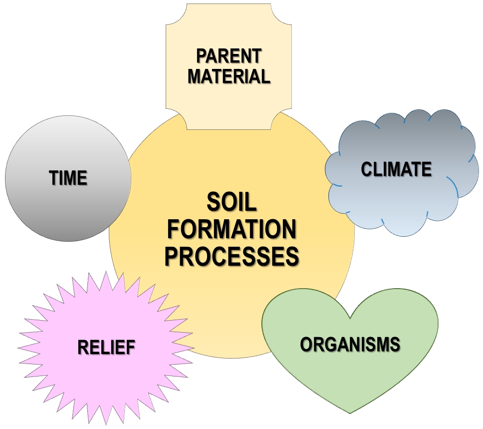 How is Soil Formed